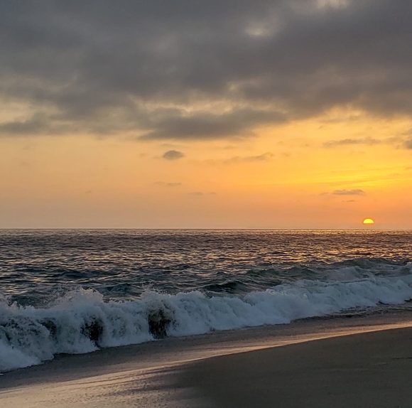 Meet your Posher, Jill - Picture 1 of 1